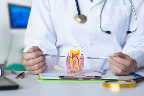 Best Orthodontic Emergency Dentist in Stanford, CA